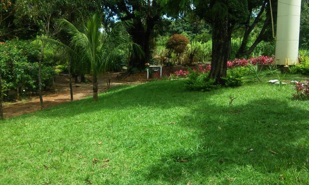 Inn Flor De Cipo *