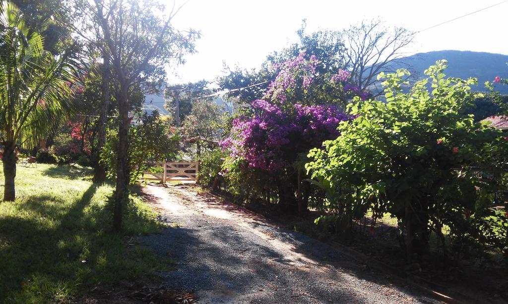Flor De Cipo Serra do Cipo National Park